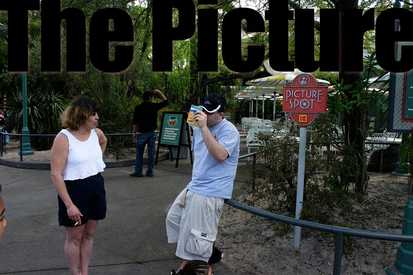 The Picture